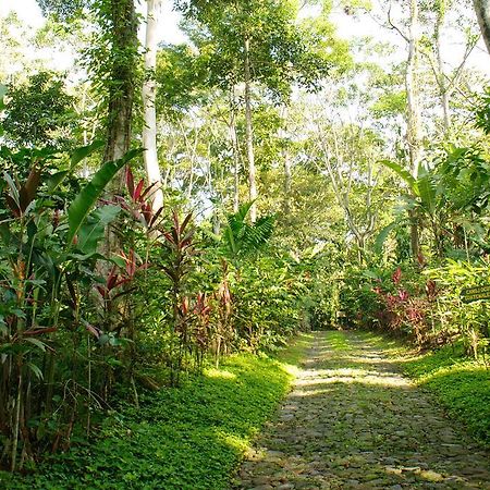 Takalik Maya Lodge El Asintal ภายนอก รูปภาพ