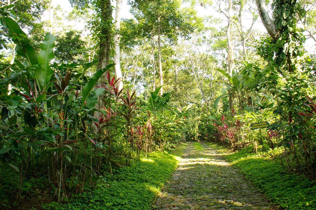 Takalik Maya Lodge El Asintal ภายนอก รูปภาพ