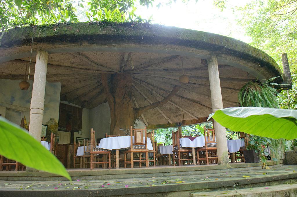 Takalik Maya Lodge El Asintal ภายนอก รูปภาพ